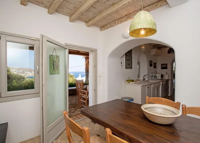 Baroness In 别墅 Mykonos Town