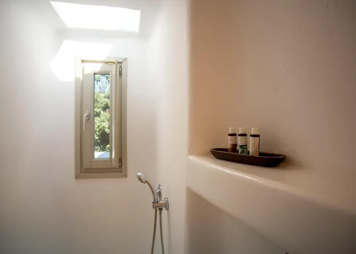 فيلة Baroness In